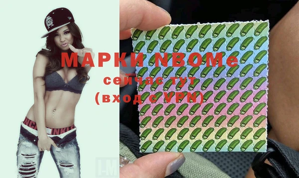 мет Алексин