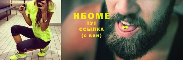 мет Алексин