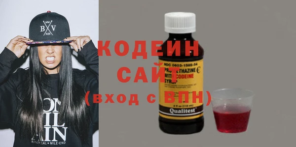 мет Алексин